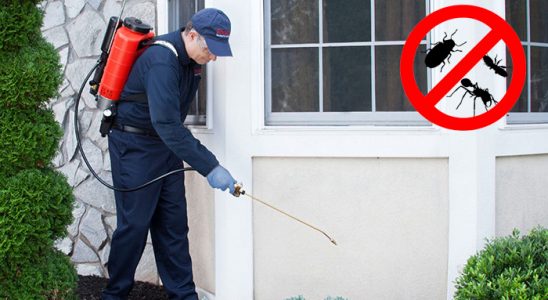 Foça Karınca İlaçlama böcek ilaçlama ve haşere kontrolü — ilaclama-tr.com